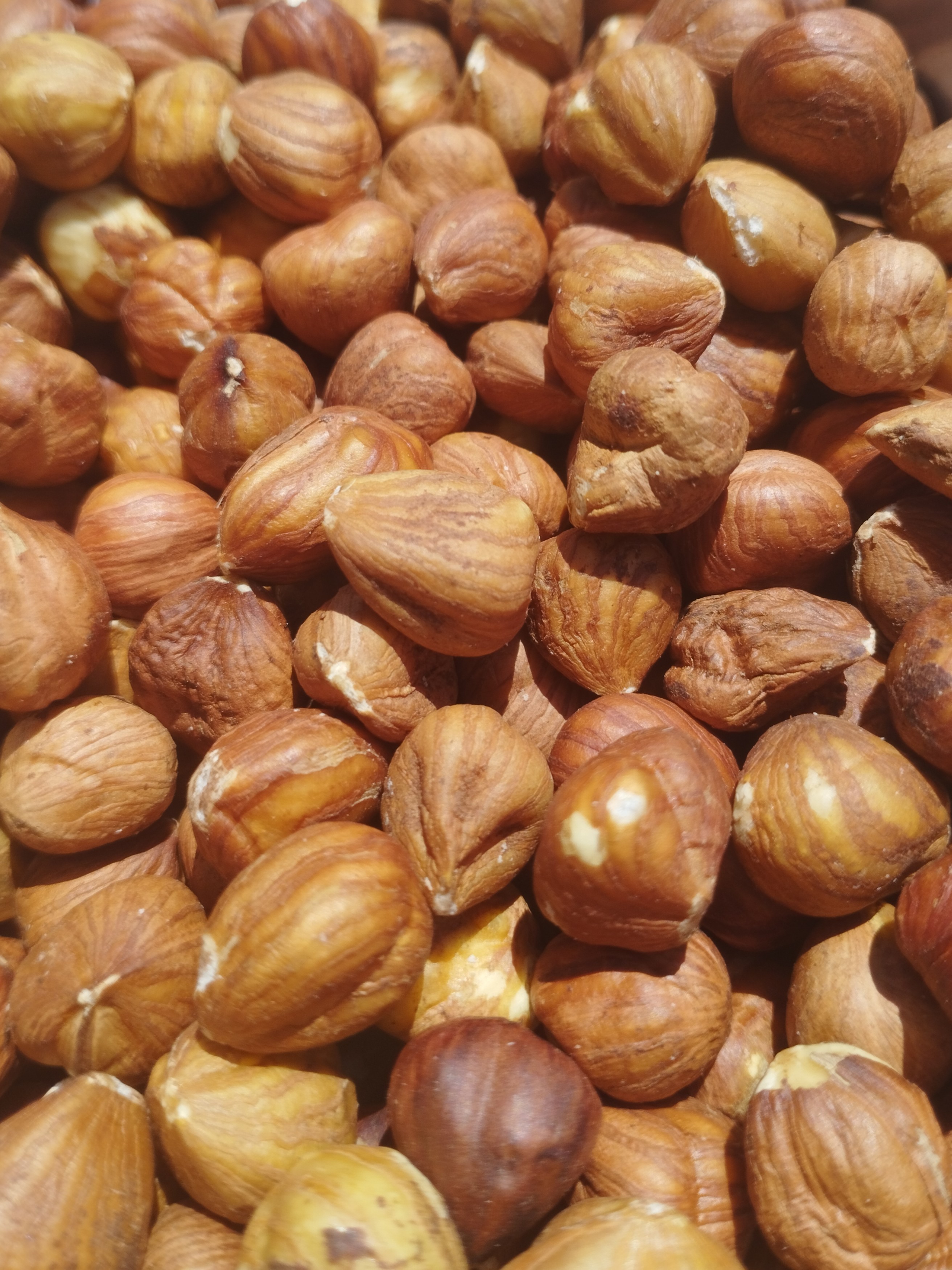 Bio Haselnusskerne naturbraun, Türkei, 11 - 13 mm